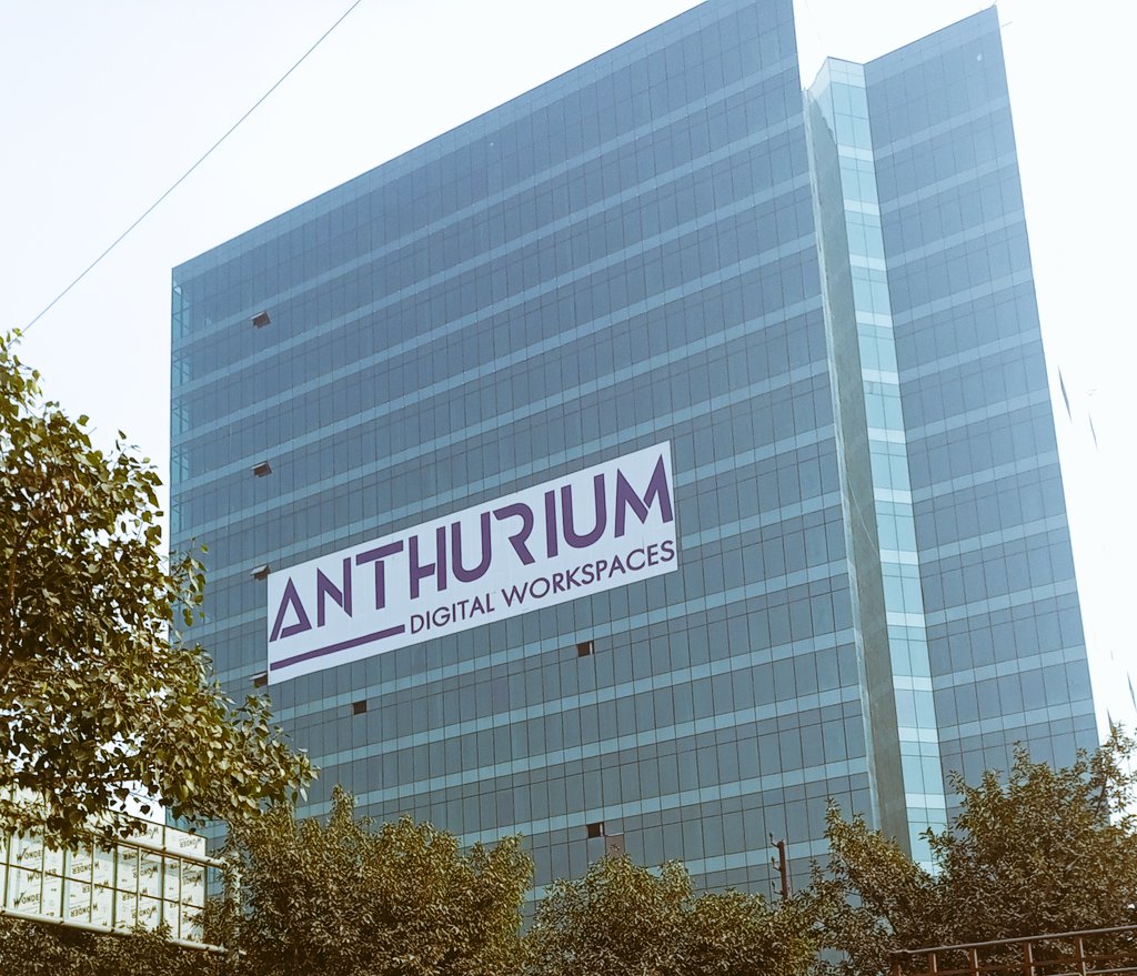 Anthurium-Office-Space